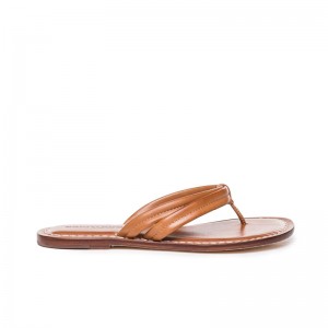 Brown Women Bernardo Miami Thong Slide Sandals | PHF3321UI