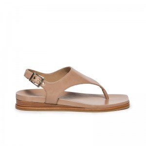 Light Brown Women Bernardo Concord Thong Flat Sandals | VVX6146XJ