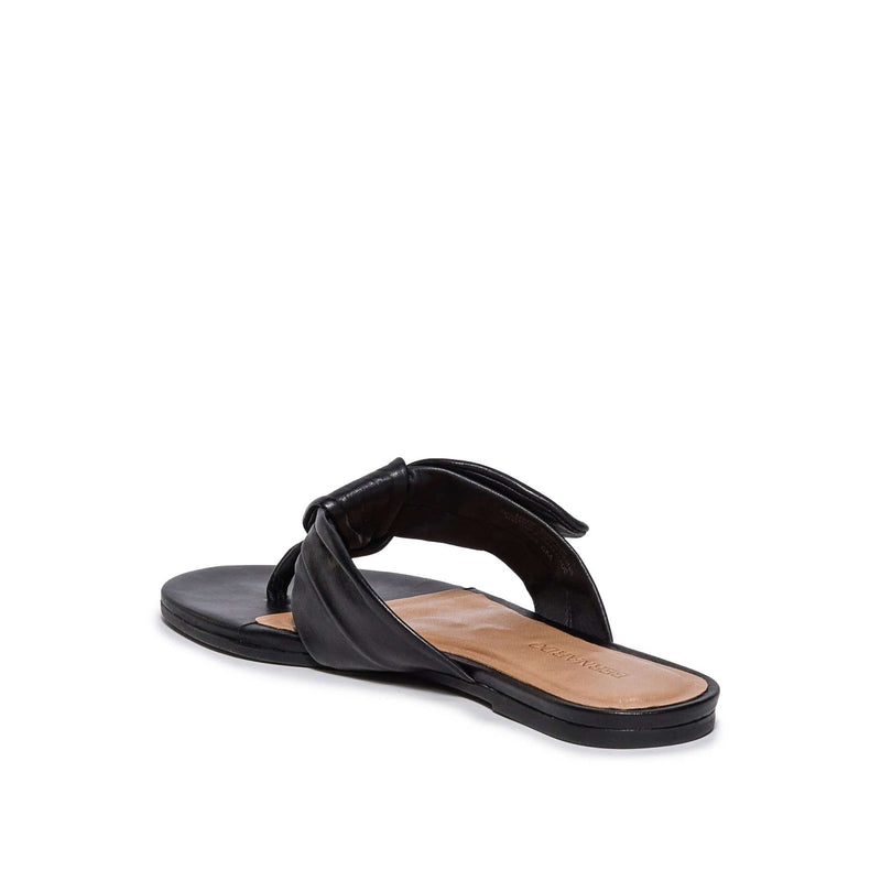 Black Women Bernardo Harmony Thong Slide Sandals | OPQ2994EJ