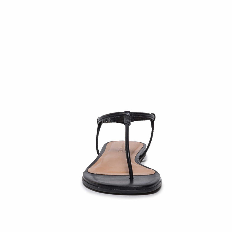 Black Women Bernardo Haven Thong Flat Sandals | JXP7191YH