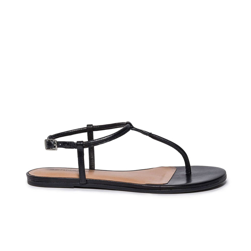 Black Women Bernardo Haven Thong Flat Sandals | JXP7191YH