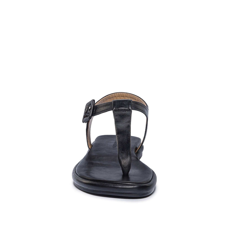 Black Women Bernardo Tucson T-Strap Flat Sandals | TEQ9281BF