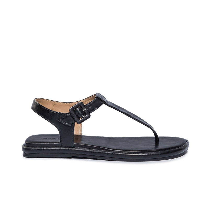 Black Women Bernardo Tucson T-Strap Flat Sandals | TEQ9281BF