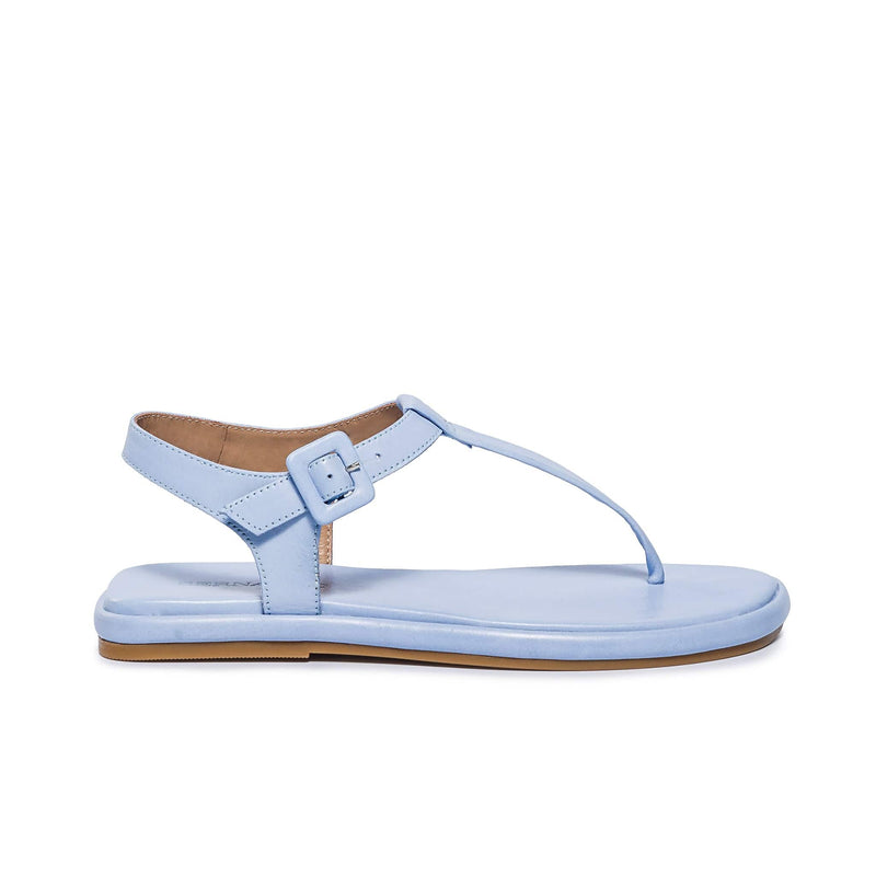 Blue Women Bernardo Tucson T-Strap Flat Sandals | ZRB1644IY