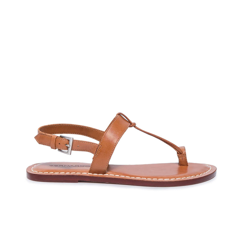 Brown Women Bernardo Maverick 2 Toe Ring Flat Sandals | NMS7042MZ