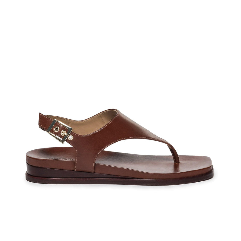 Chocolate Women Bernardo Concord Thong Flat Sandals | HHU852IF