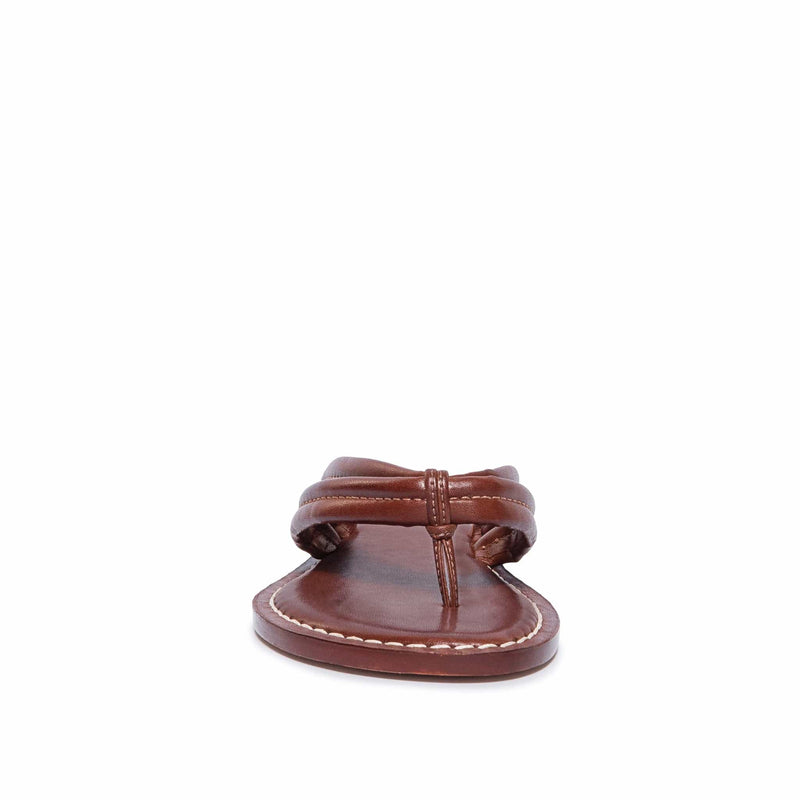 Chocolate Women Bernardo Miami Thong Slide Sandals | VDF1031XN