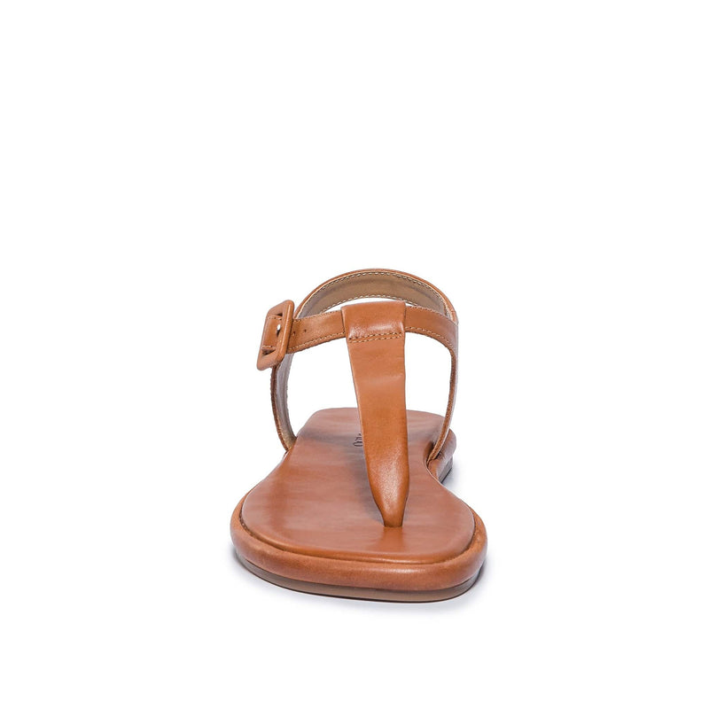 Dark Brown Women Bernardo Tucson T-Strap Flat Sandals | LYK4472HO