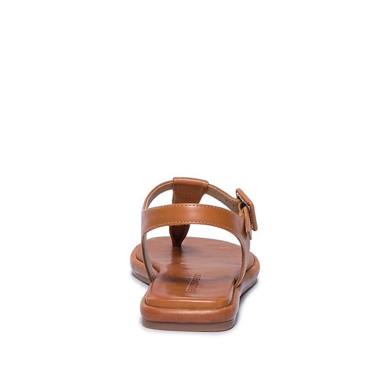 Dark Brown Women Bernardo Tucson T-Strap Flat Sandals | LYK4472HO