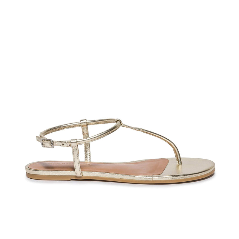 Gold Women Bernardo Haven Thong Flat Sandals | VKU4069HZ