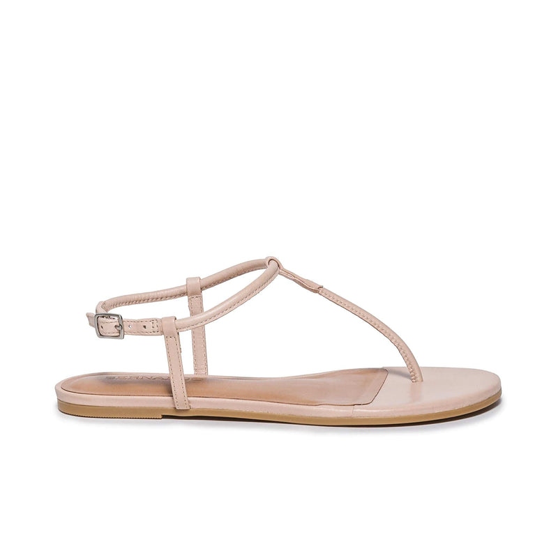 Pink Women Bernardo Haven Thong Flat Sandals | QPL7031LA