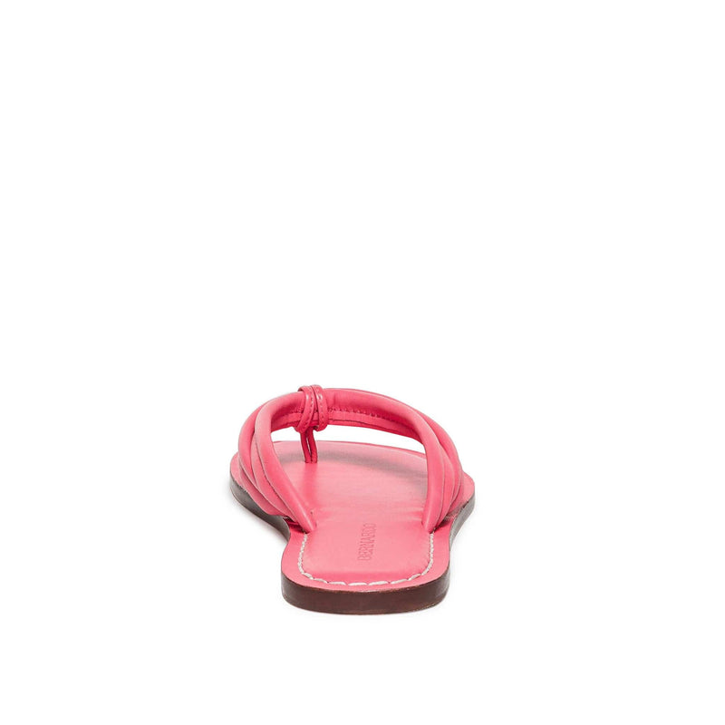 Pink Women Bernardo Miami Thong Slide Sandals | DYL5886KE