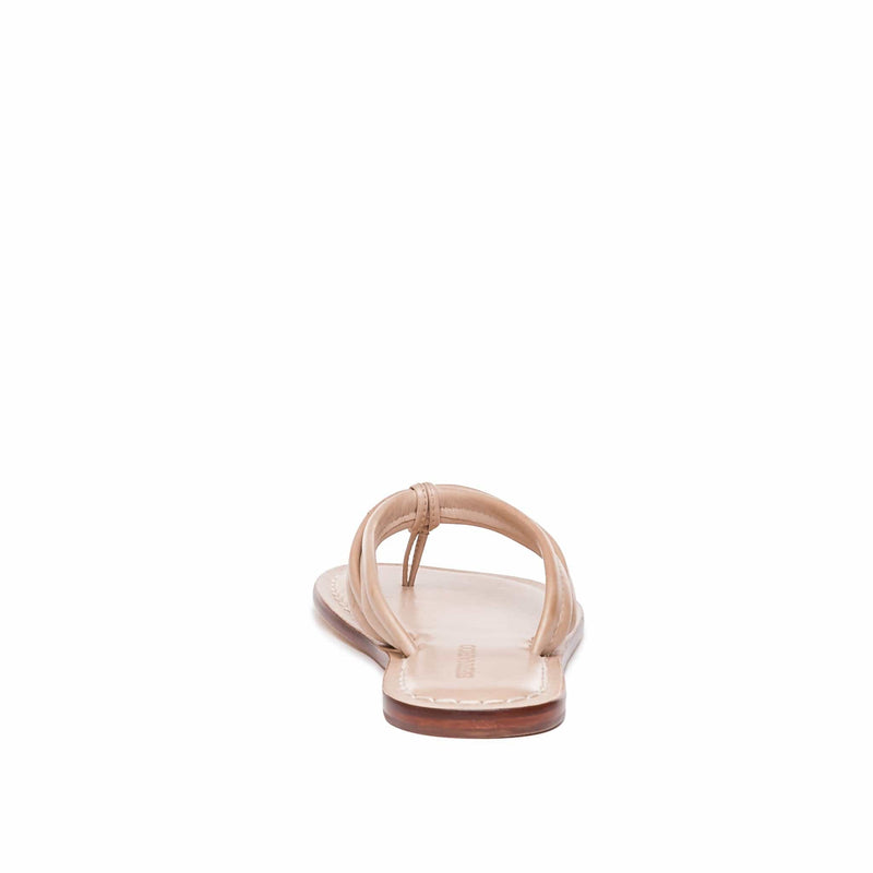 Pink Women Bernardo Miami Thong Slide Sandals | JCH2493VE