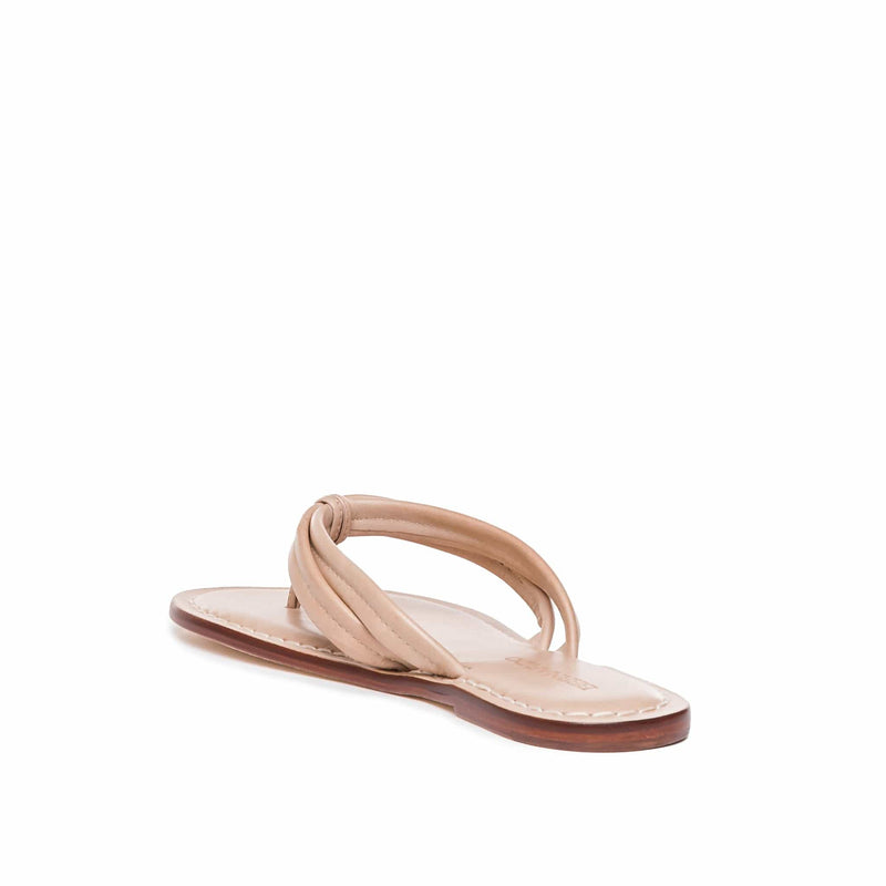 Pink Women Bernardo Miami Thong Slide Sandals | JCH2493VE